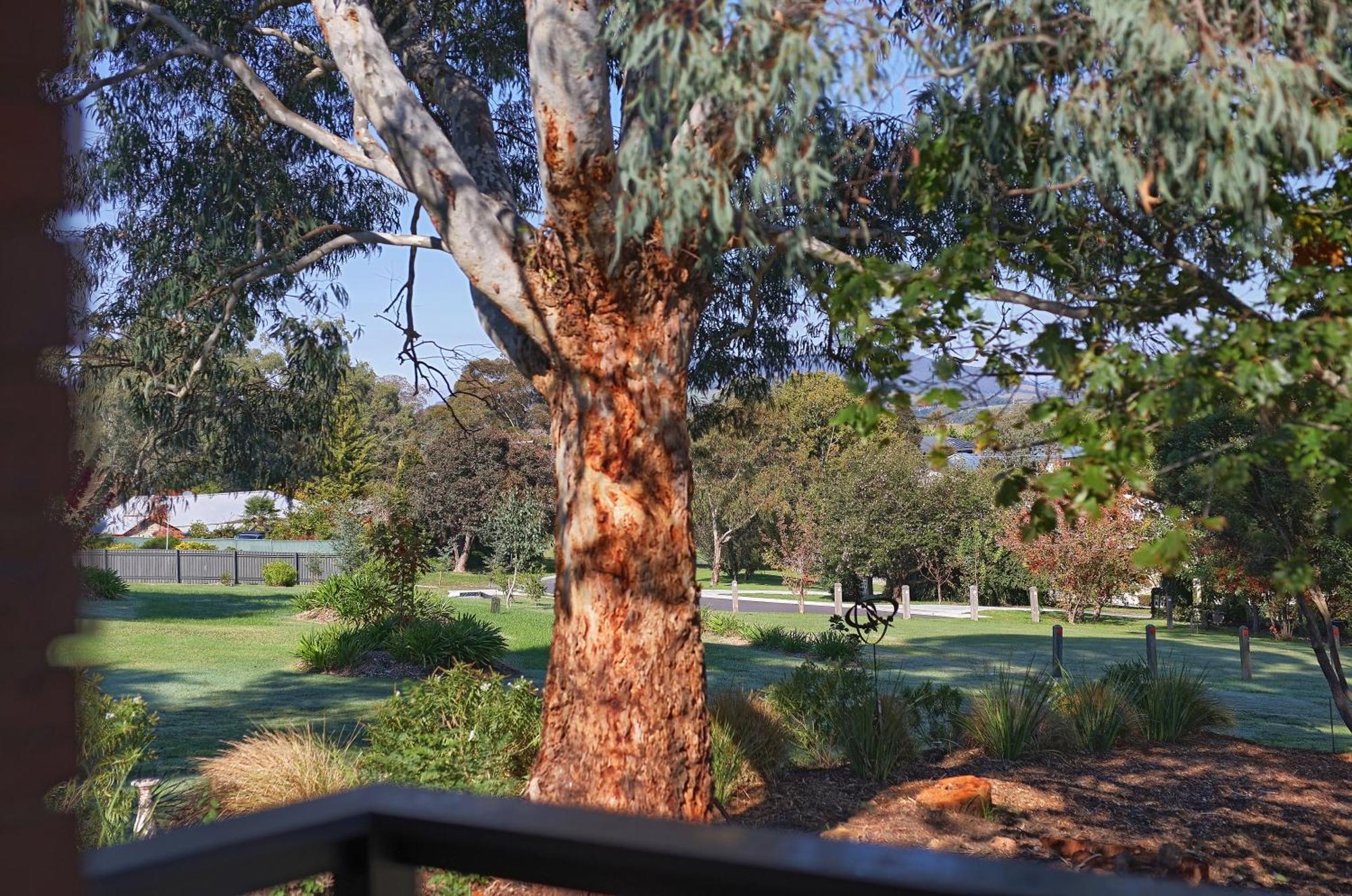 Motel Yarra Gables Healesville Exteriér fotografie